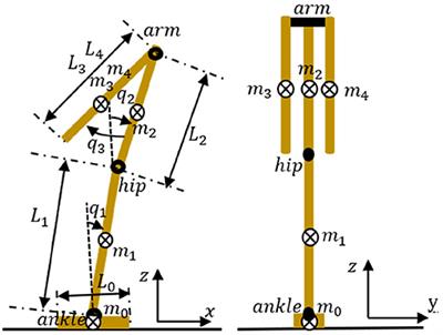 Reproducing Human Arm Strategy and Its Contribution to Balance Recovery Through Model Predictive Control